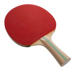 Настільний теніс